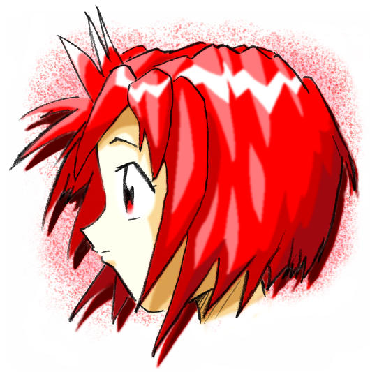 �S���̉Δ������